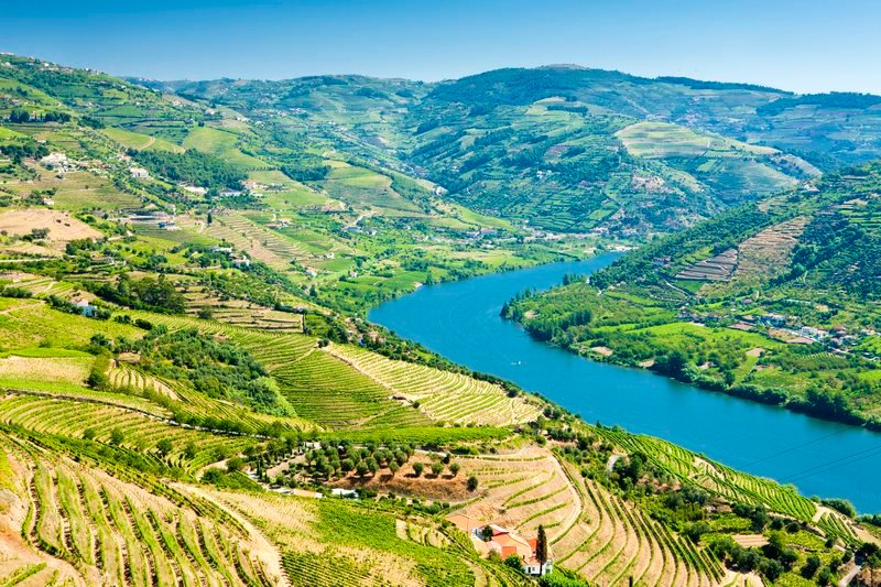 vineyars in Douro Valley, Portugal