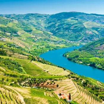 Diseño sin título (1)