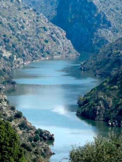 fotos web (2)